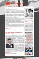 An unfortunately not approved design for Paulo Teixeira's website: